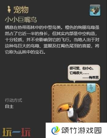 ff14小小巨嘴鸟获取攻略 7.1新宠物小小巨嘴鸟获得方法